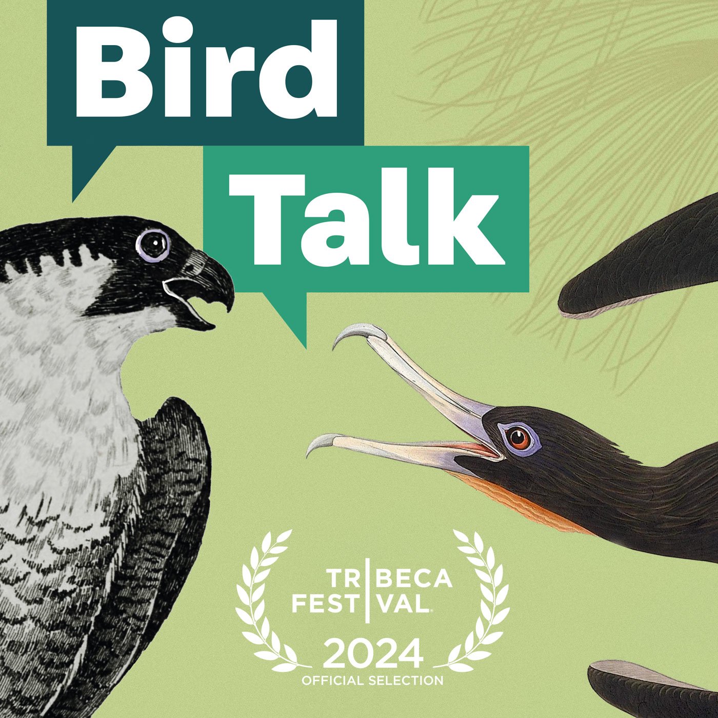 Bird Talk