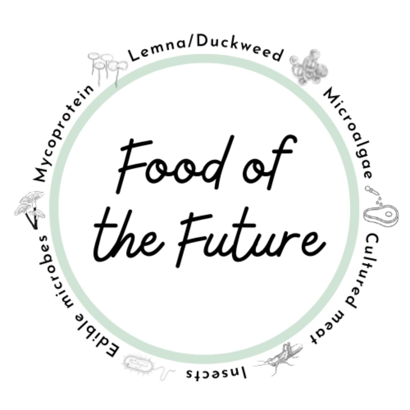 Food of The Future