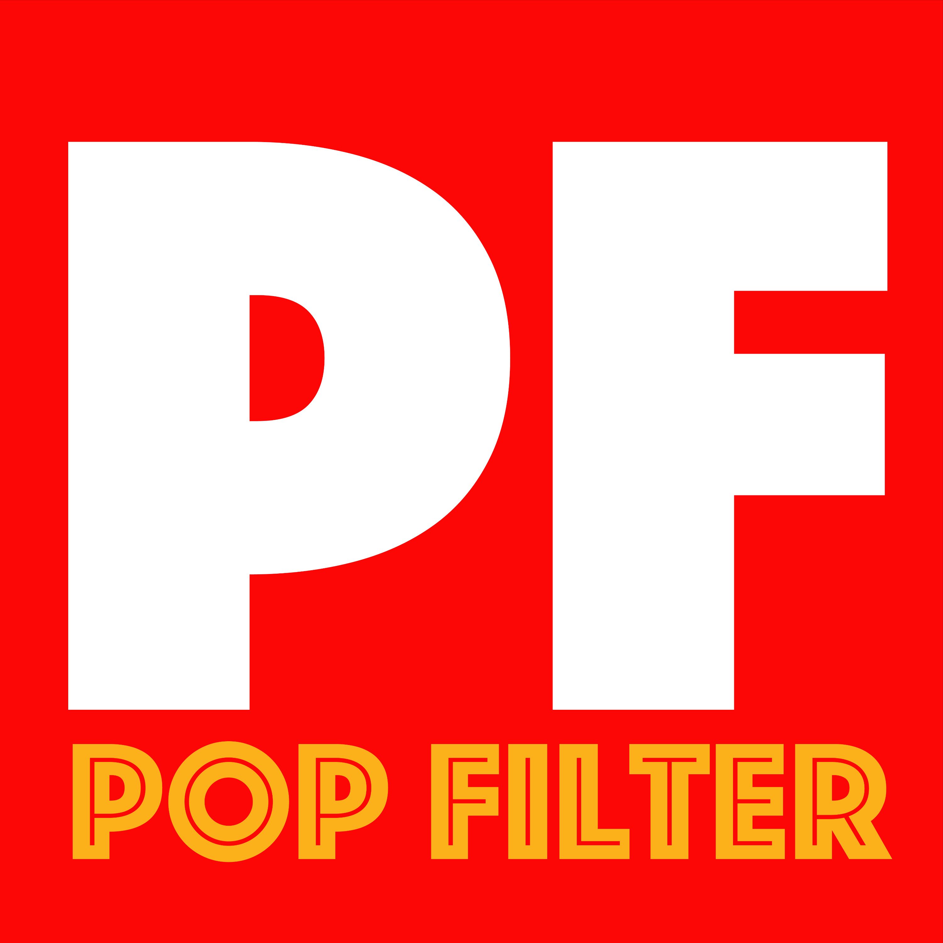 Pop Filter