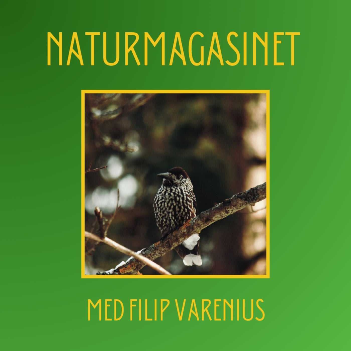 Naturmagasinet