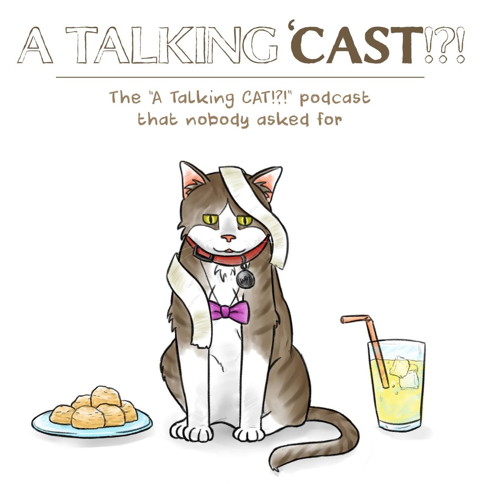 A Talking 'Cast!?! cover art