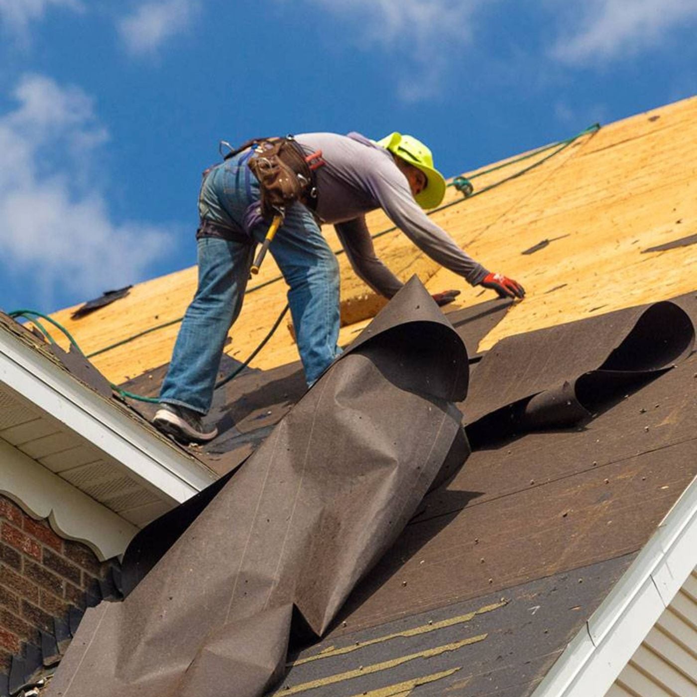 Under One Roof: Stories of Protection & Restoration