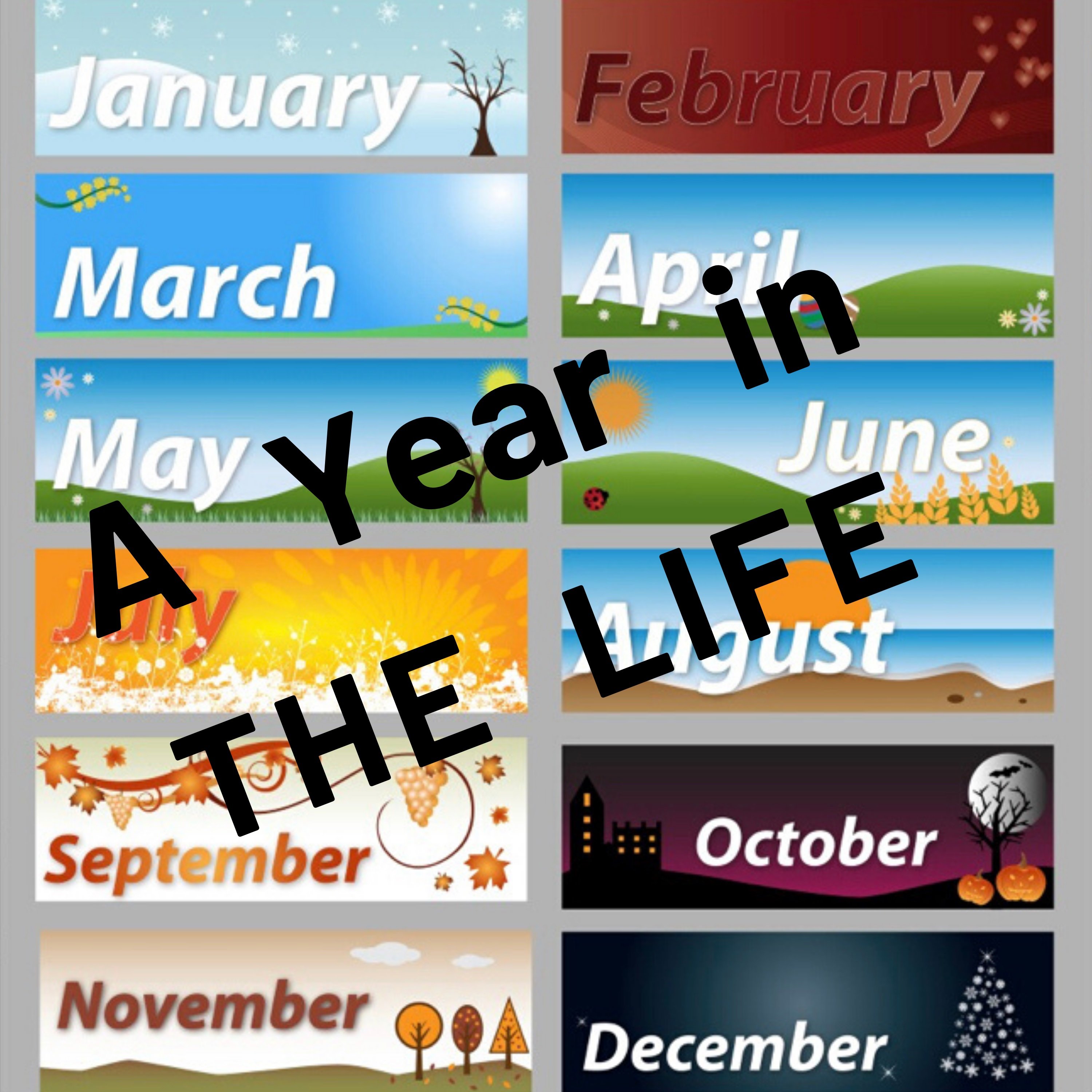 A Year in the Life