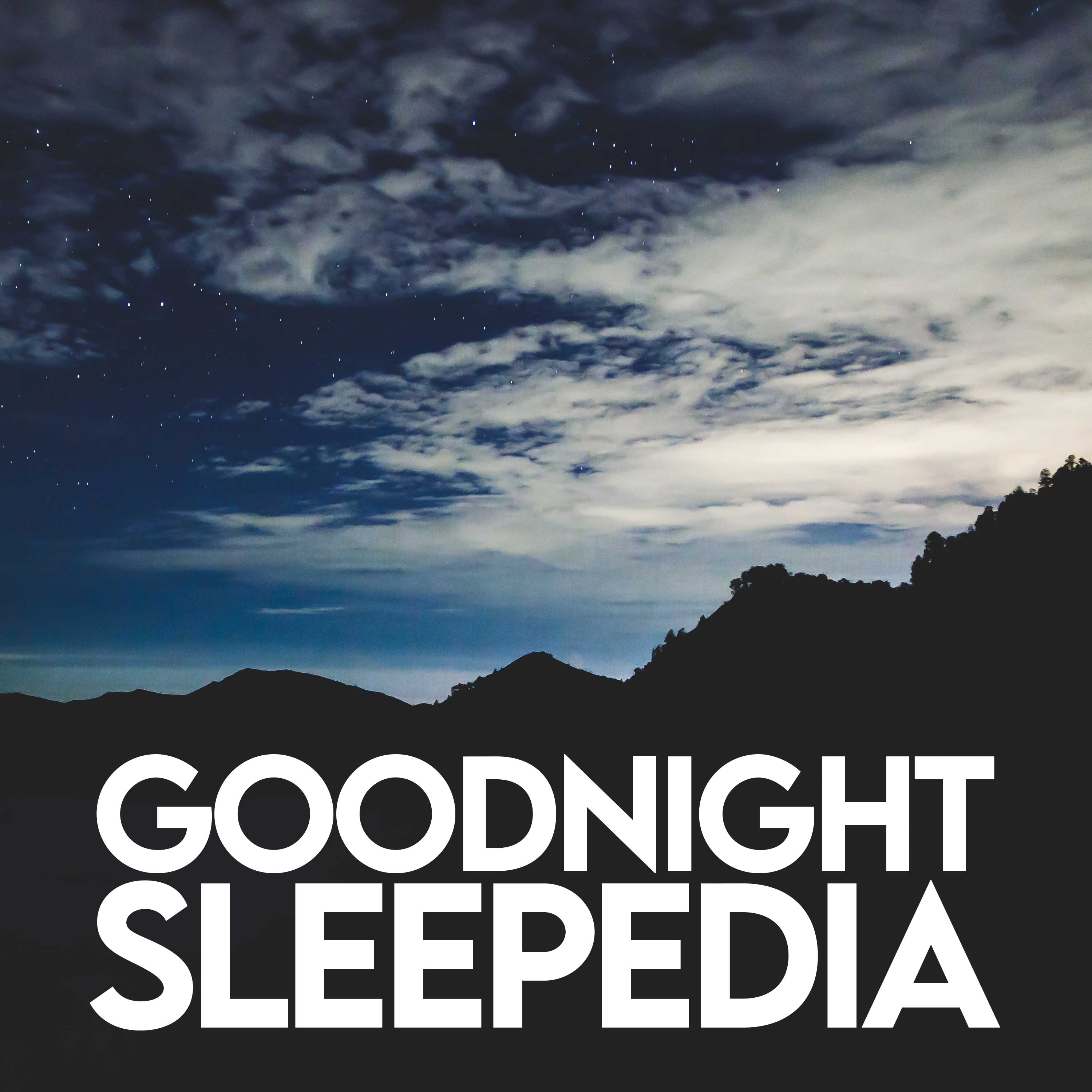Goodnight Sleepedia