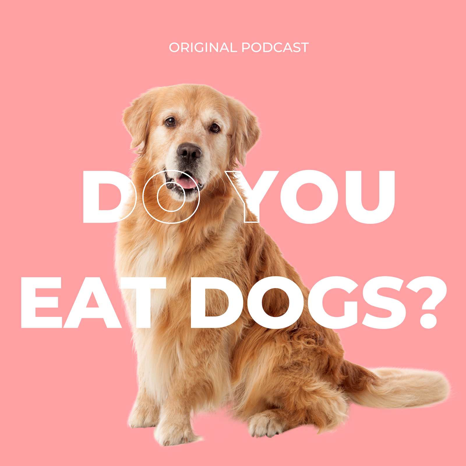 Do You Eat Dogs?