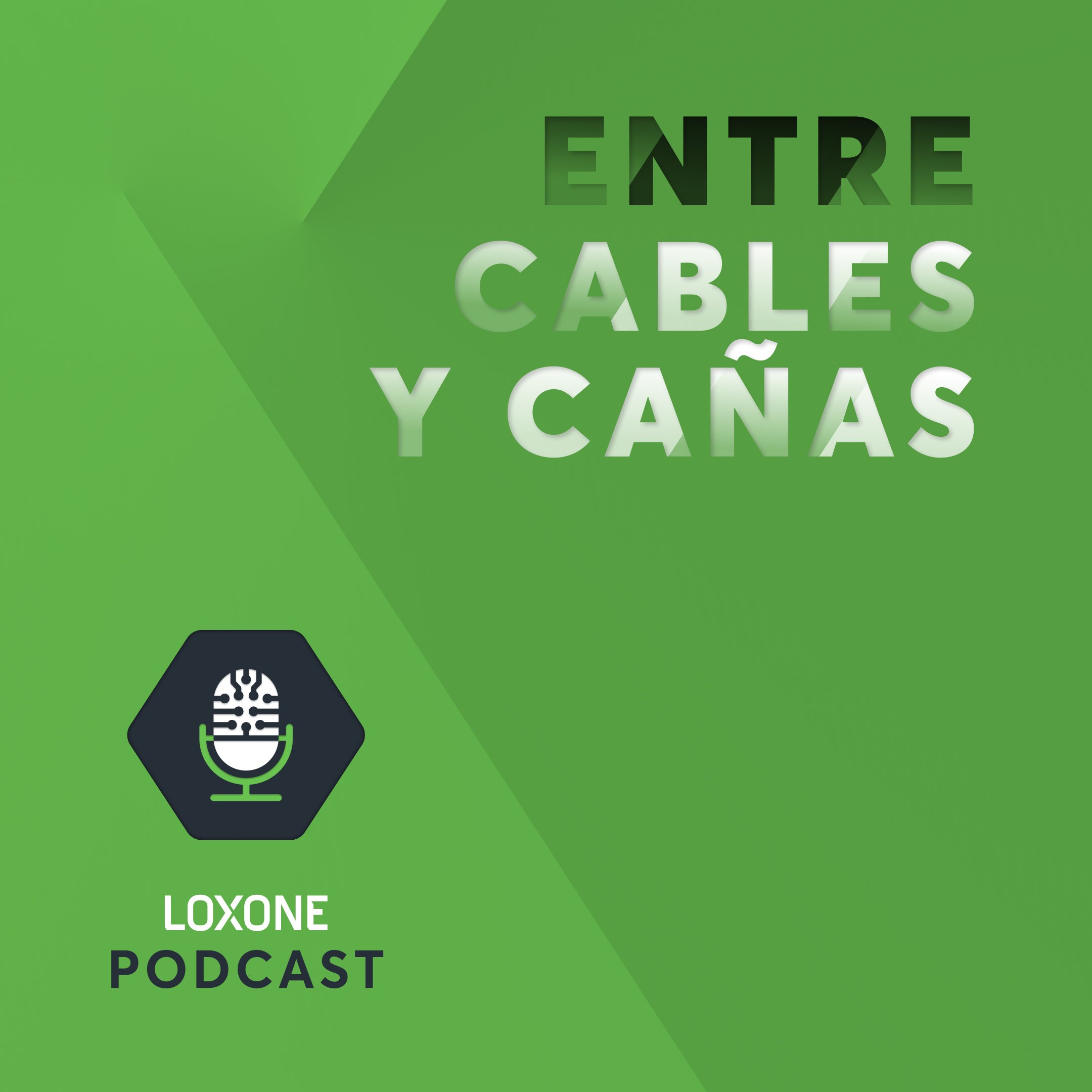Entre cables y cañas