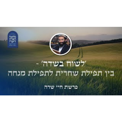 פרשת חיי שרה • 'לשוח בשדה' - בין תפילת שחרית לתפילת מנחה פרשת חיי שרה • 'לשוח בשדה' - בין תפילת שחרית לתפילת מנחה