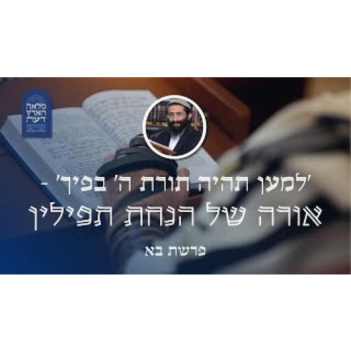 פרשת בא • 'למען תהיה תורת ה' בפיך' - אורה של הנחת תפילין