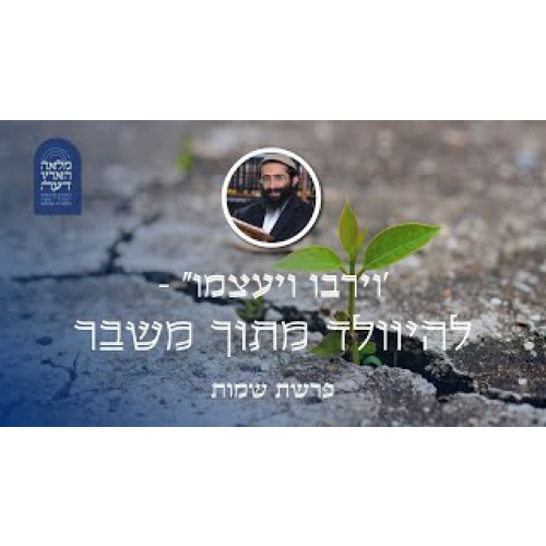פרשת שמות • 'וירבו ויעצמו" - להיוולד מתוך משבר