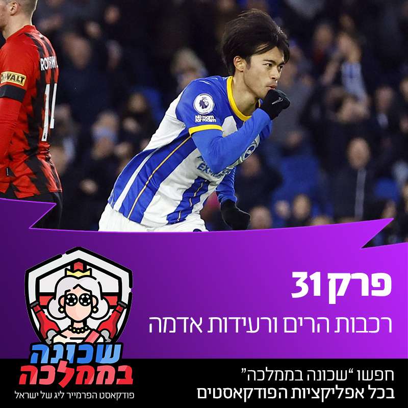 פרק 31 - רכבות הרים ורעידות אדמה