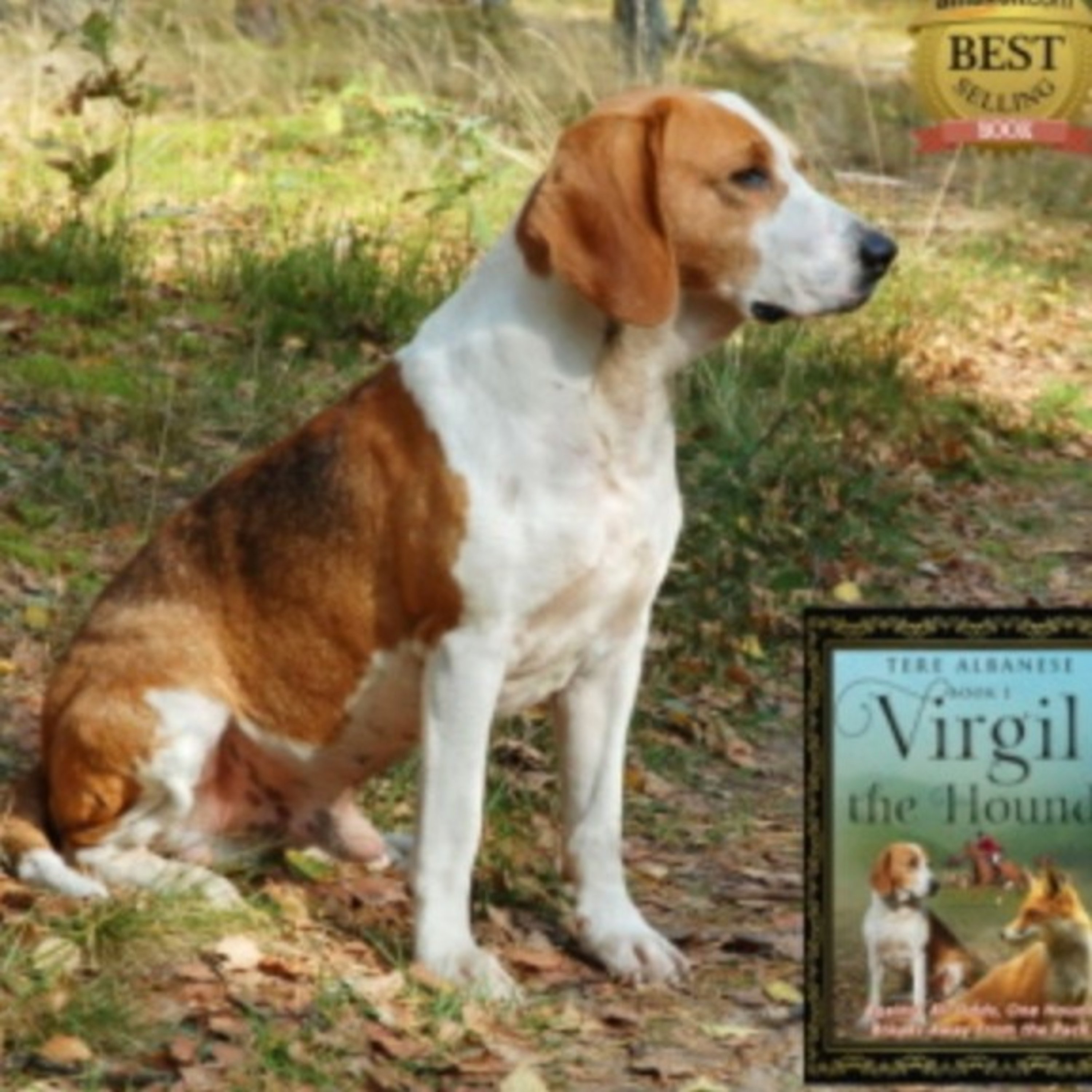 Kulcharama With Diva