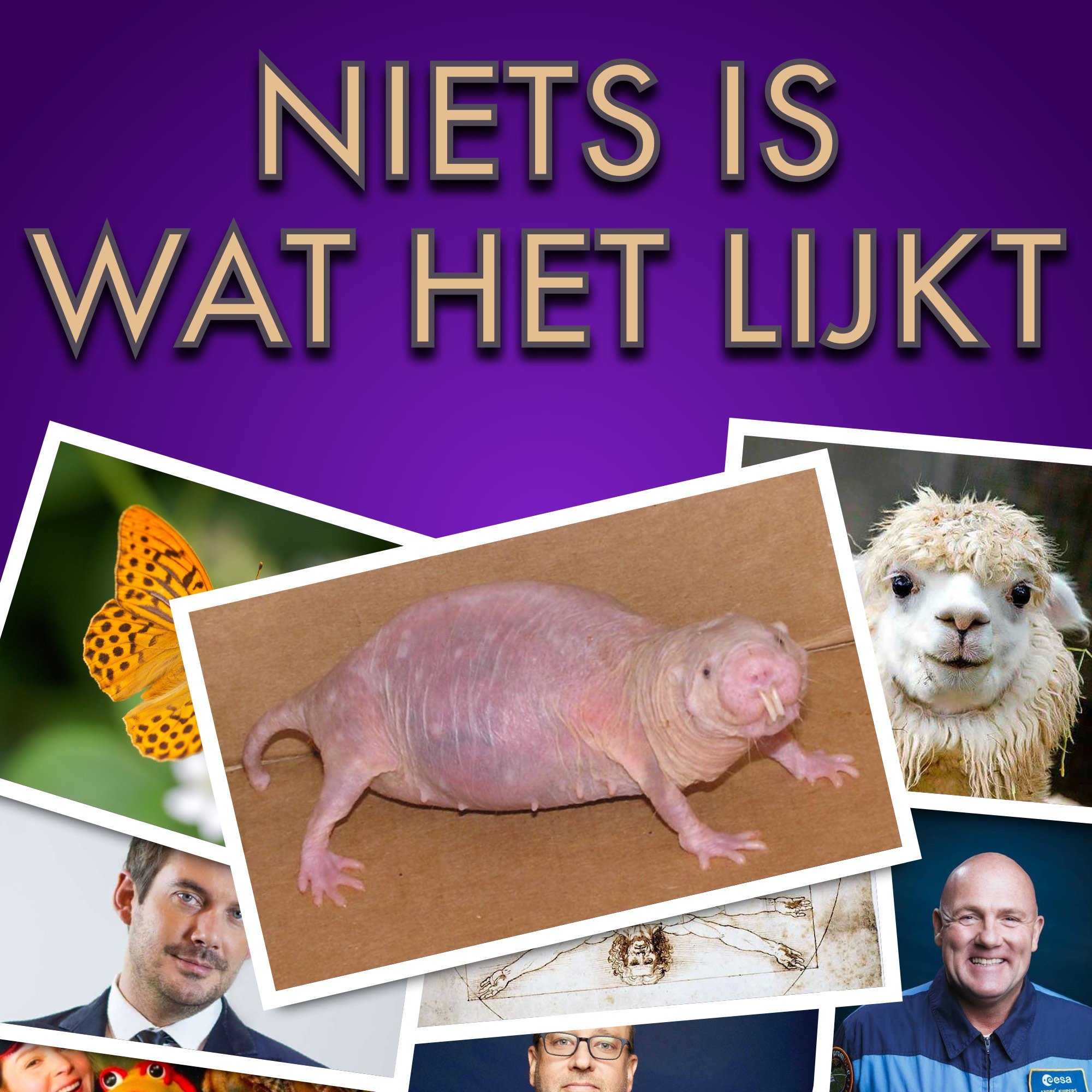 Niets Is Wat Het Lijkt