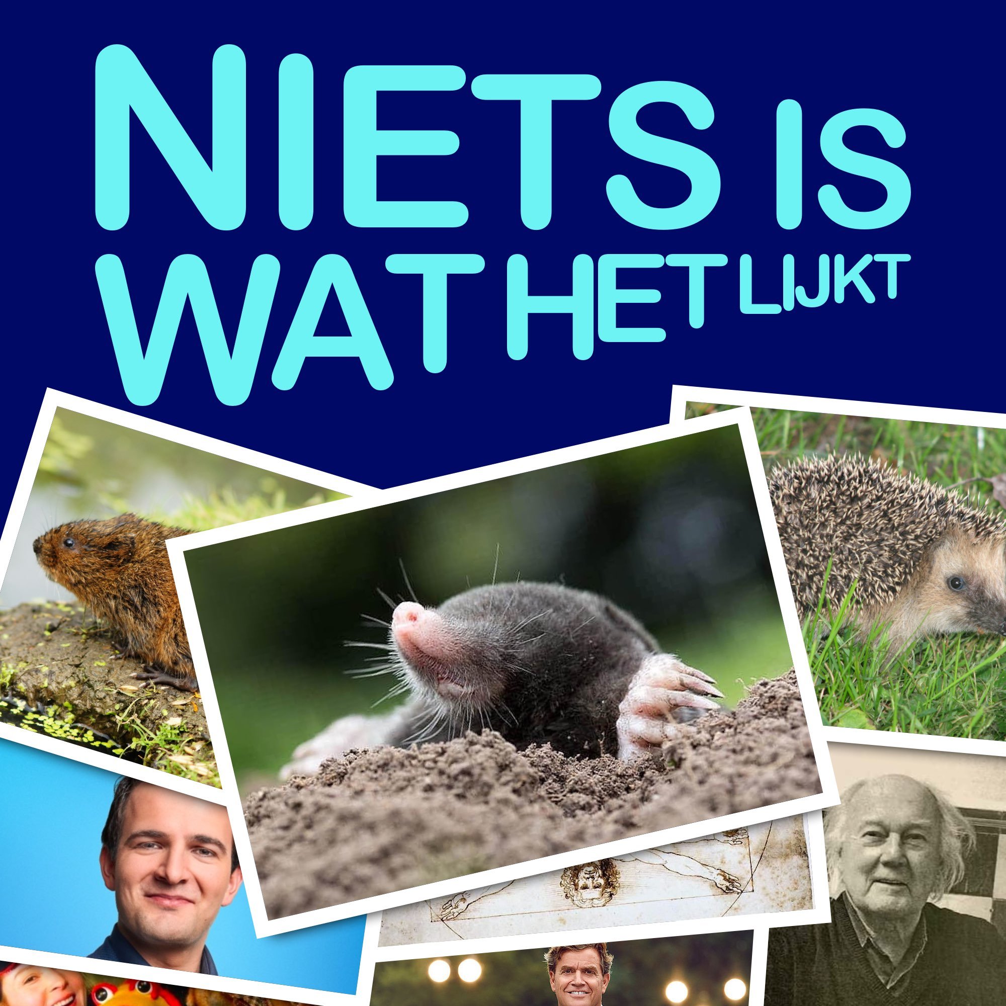 Niets Is Wat Het Lijkt