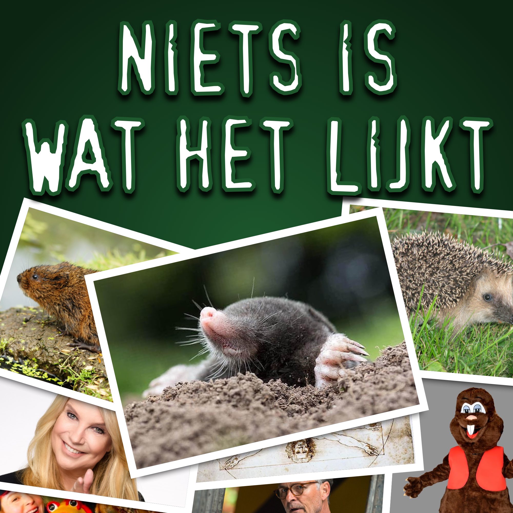 Niets Is Wat Het Lijkt