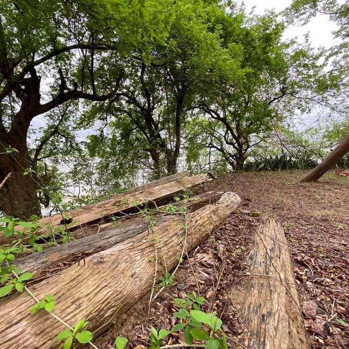 Mindful Solutions for the Pandemic