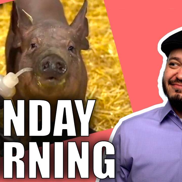 #SGGQA 170: Samsung Note 20 Cooling, Apple Blocks Payment Transparency, Neuralink Cyborg Pigs, XPERIA 5ii Leaks, Microsoft PLAYED Influencers