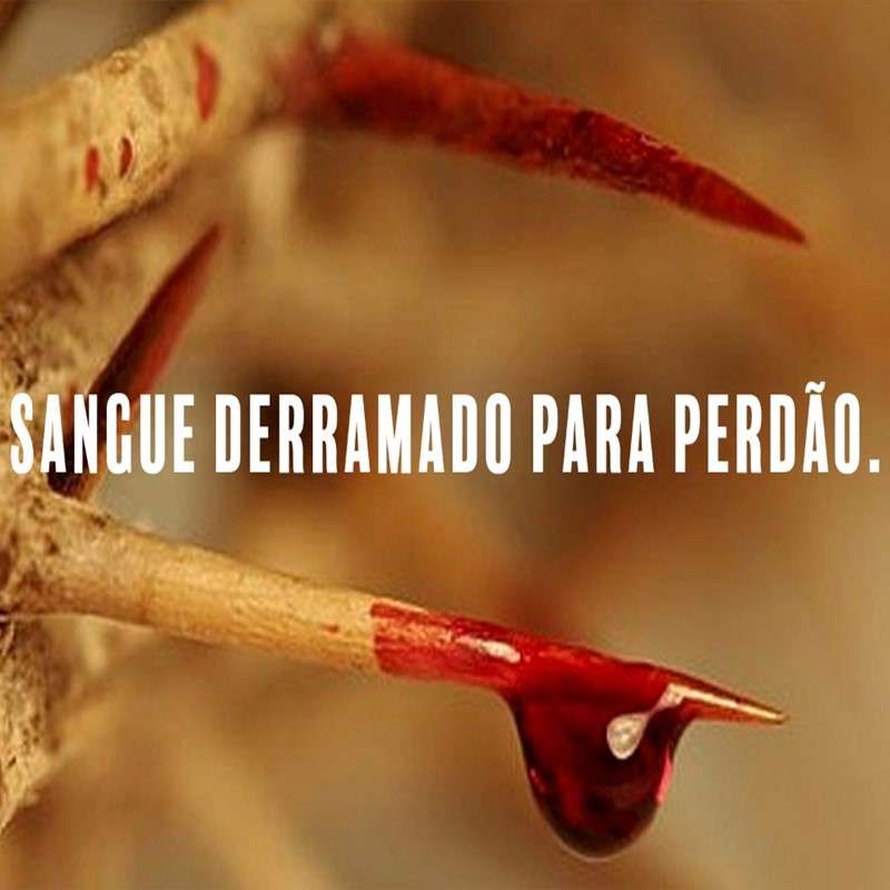 Família Renovada