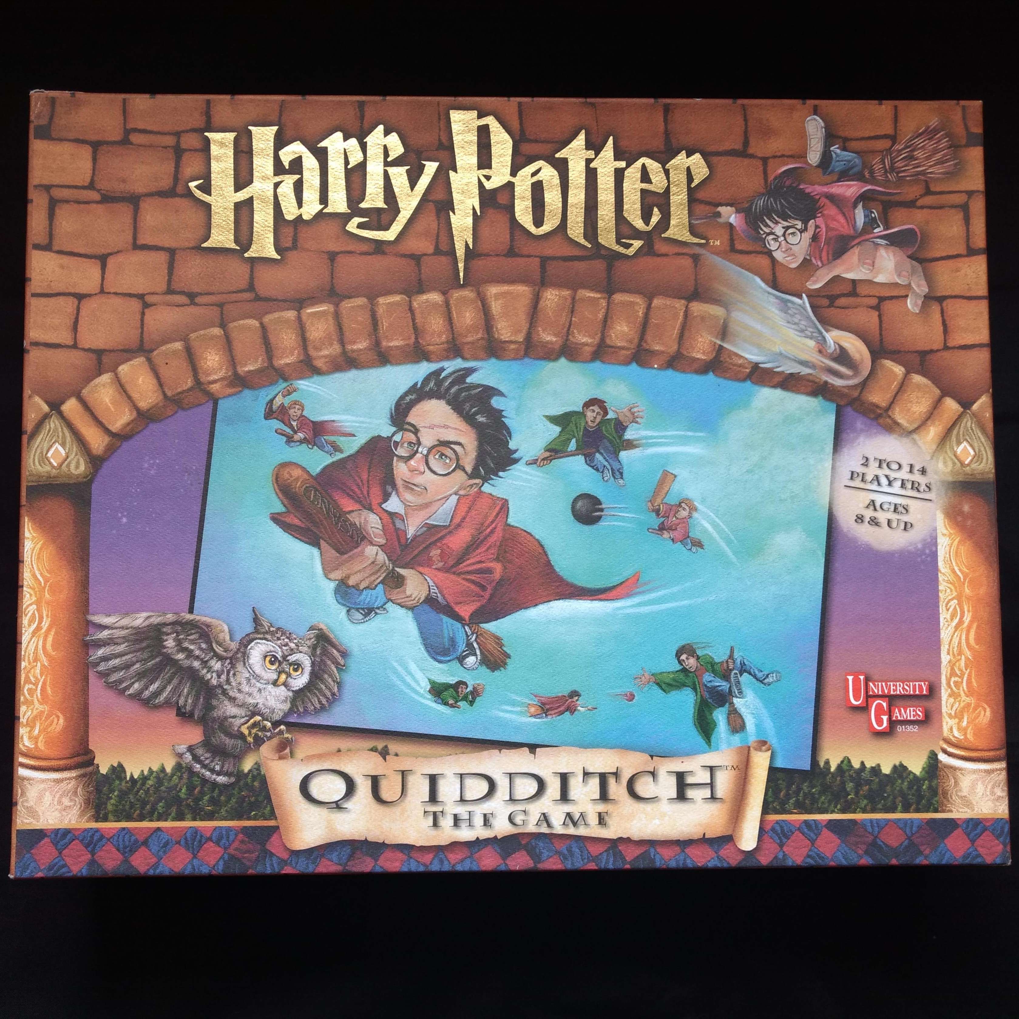 Cardboard Curse Episode 7 - Quidditch the Game