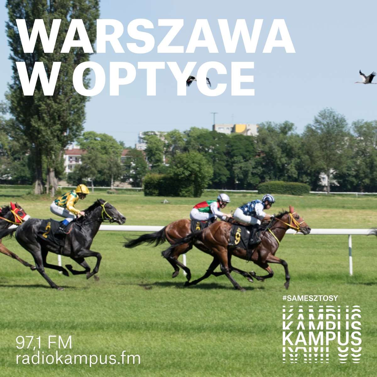 Służewiec - nie tylko tor wyścigowy