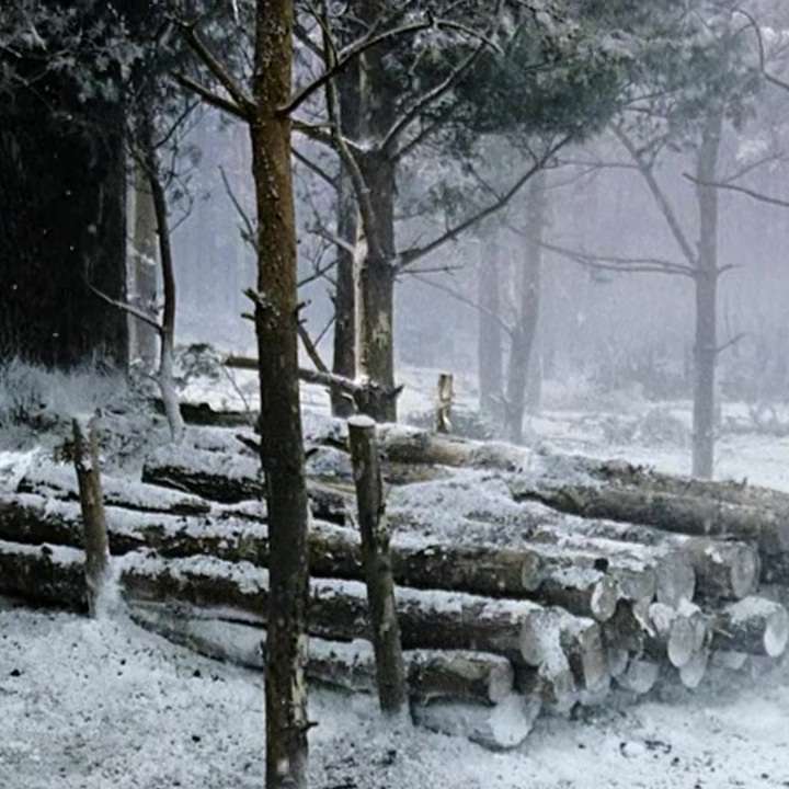 S11E73 - Band of Brothers Minute – 073 – No Podcast Left Behind – MovieRob Minute Season 11