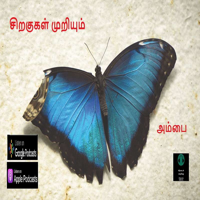 Vidhyavudan Kadhai Kelu - Tamil Audio Stories