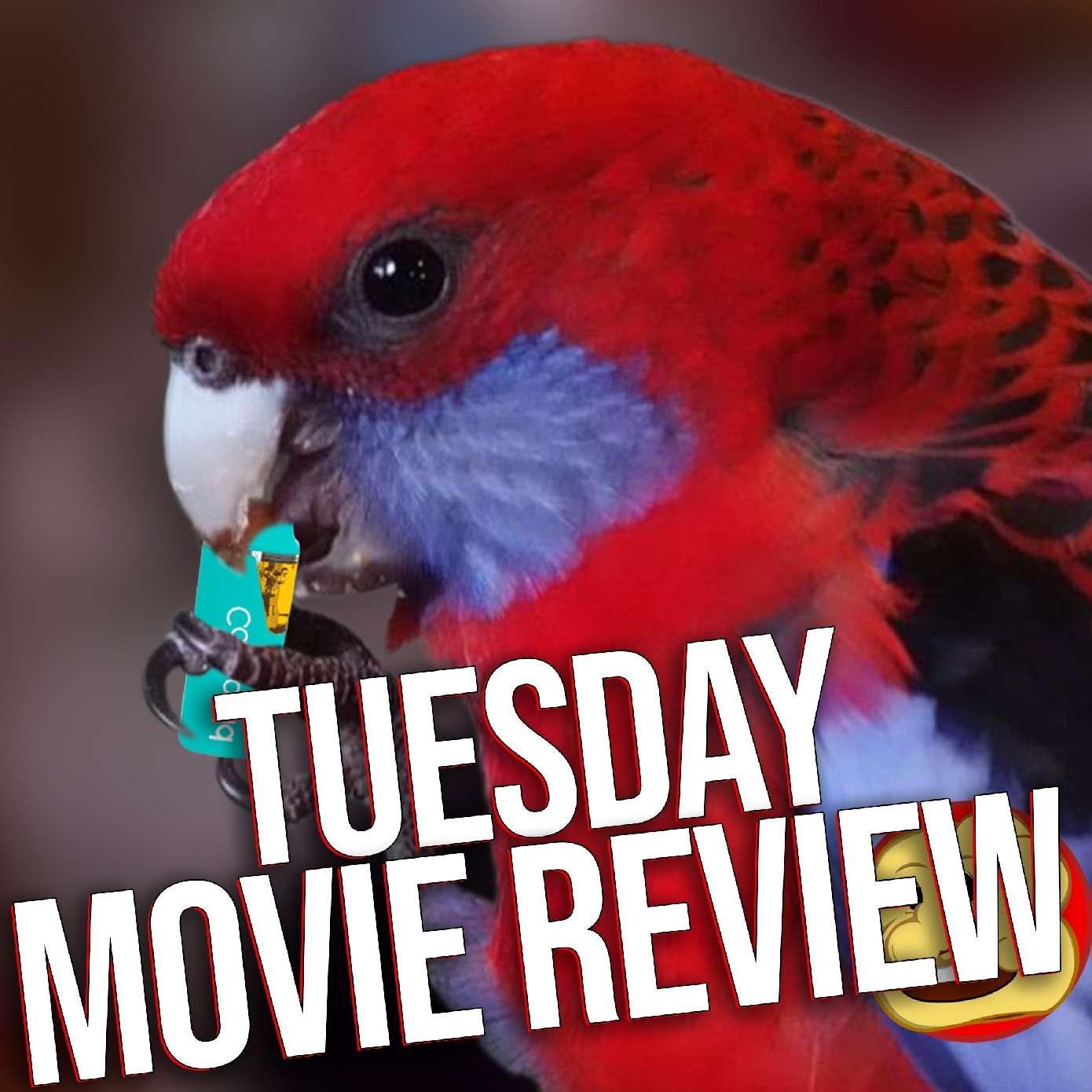 TUESDAY WAS ABSURD AND HEARTFEALT |