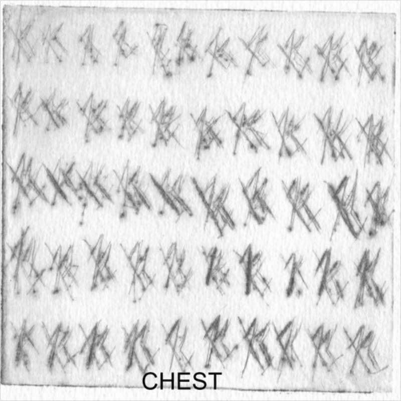 CHEST