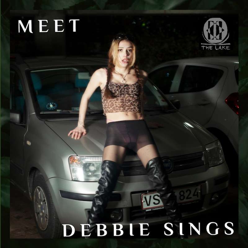 Meet Debbie Sings Meet Debbie Sings