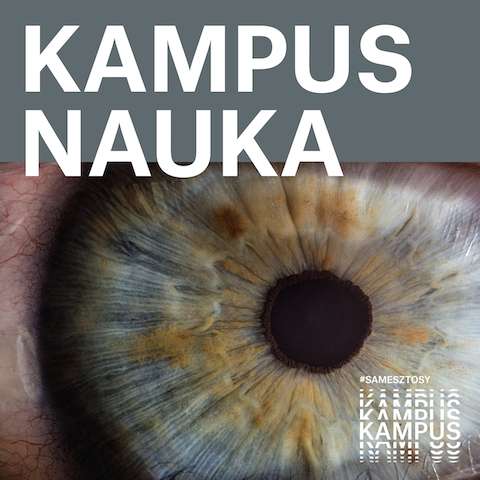 Nie tylko sowy i skowronki - o wyrazistości zegara biologicznego