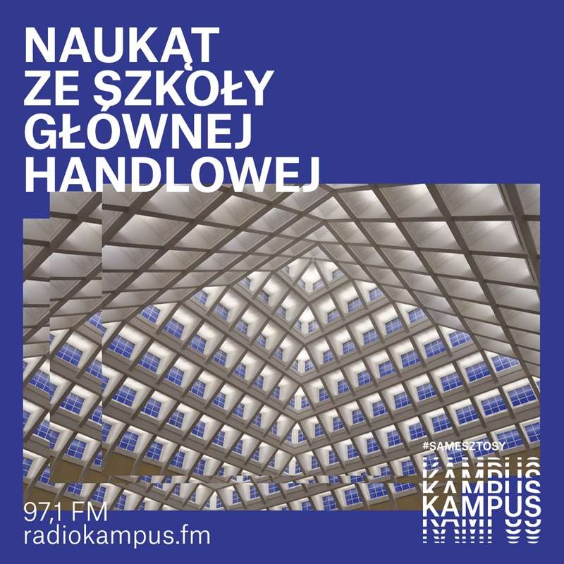 Naukąt SGH: Czy młodzi naprawdę nie chcą dzieci?