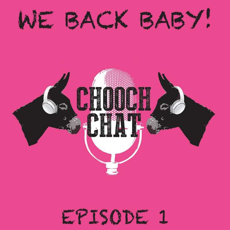 Chooch Chat