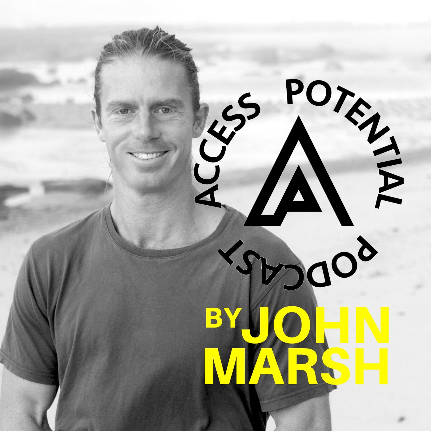Access Potential Podcast