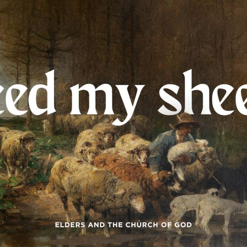 The Pastor as Exemplar episode artwork