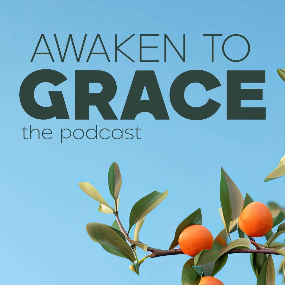 The Word Became Flesh: The Radical Wonder of the Incarnation episode artwork