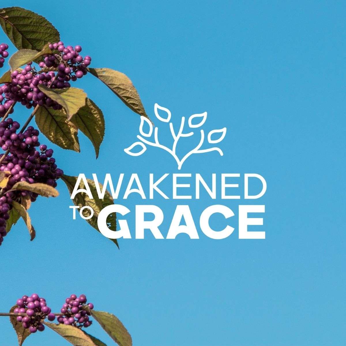 Florida Conference of the United Methodist Church