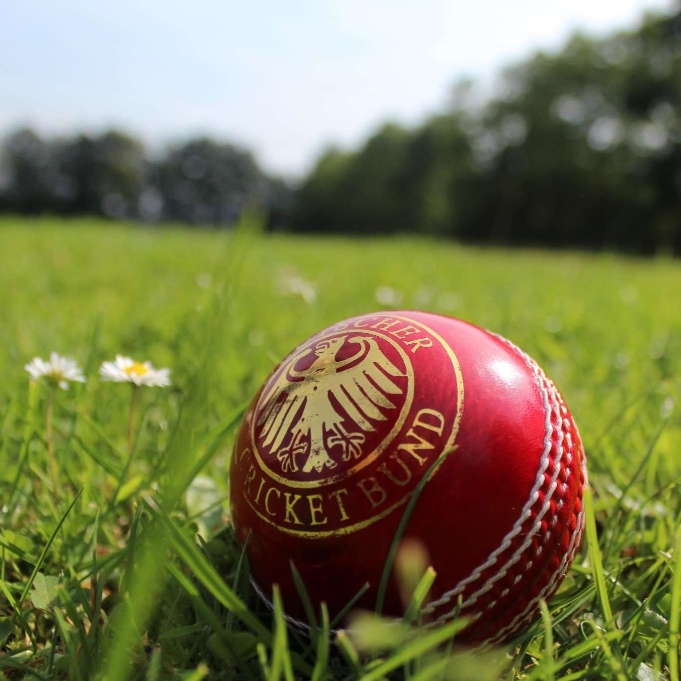 How to Watch Live Cricket on CricHD TV