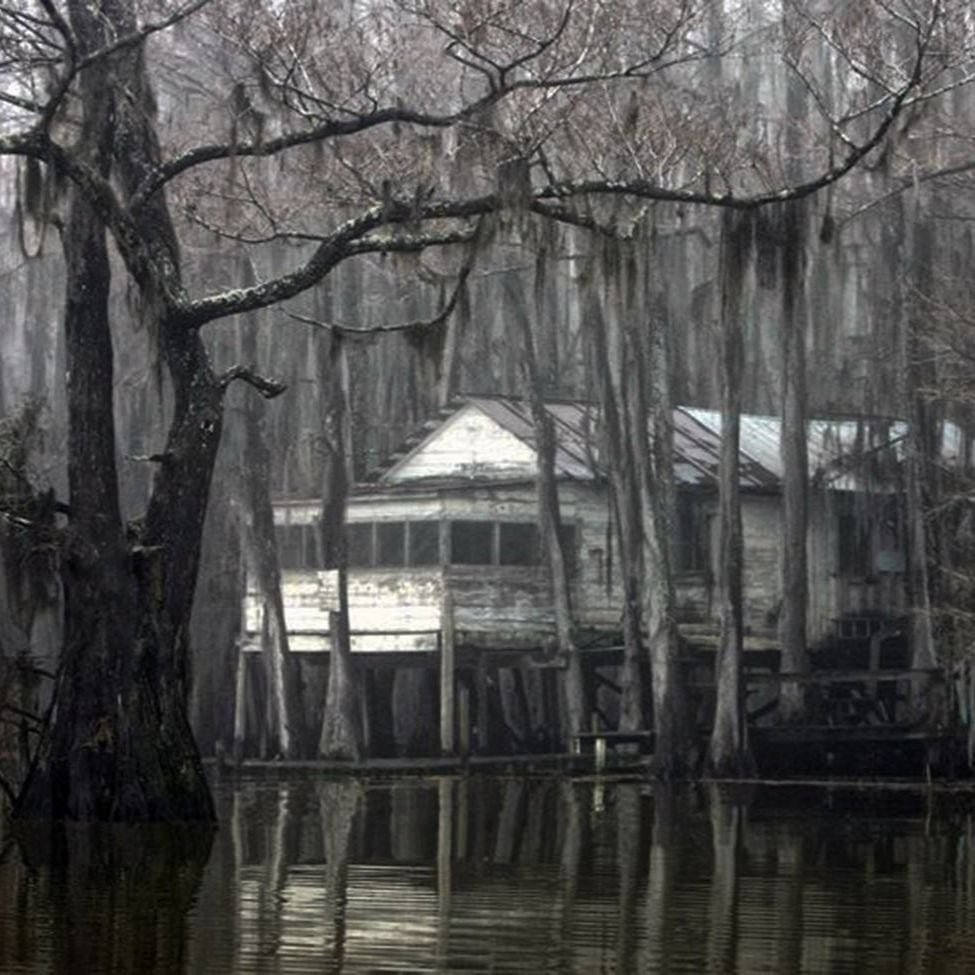 Episode 4 - Caddo Lake episode artwork