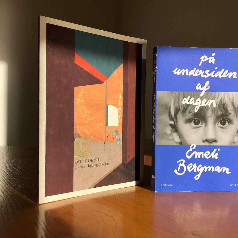 S1E3 - KRITIKERSALON - Om Emeli Bergmans 'På undersiden af dagen' og Cæcilie Højberg Poulsens 'om nogen'