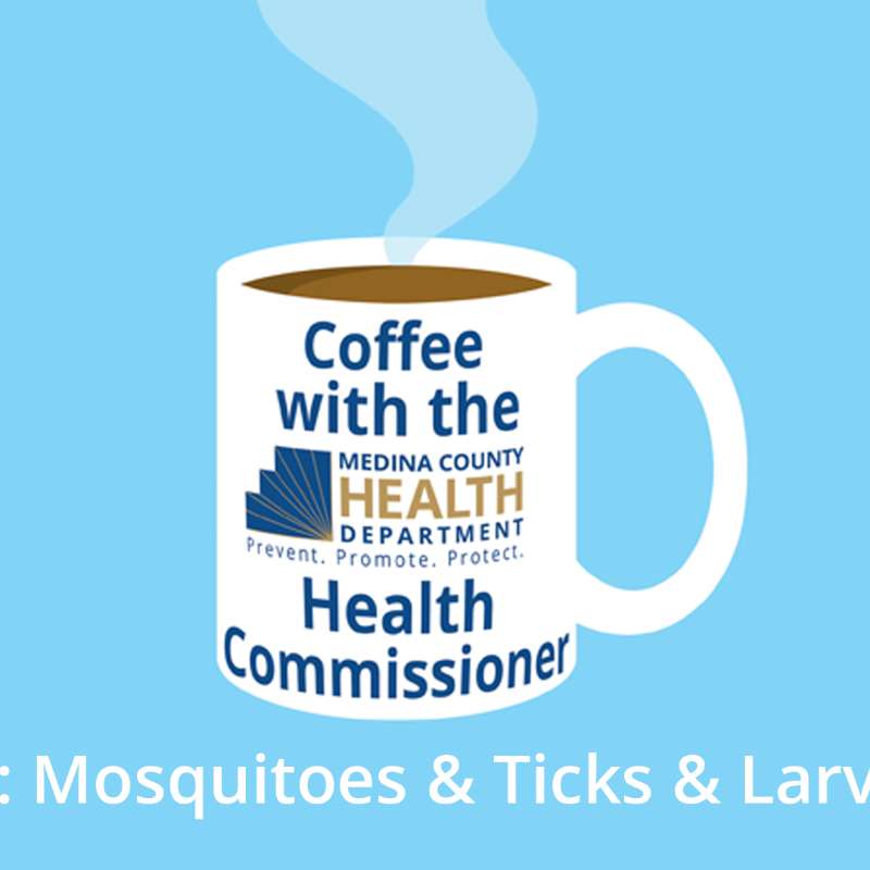 Larva & Mosquitoes & Ticks, Oh My! episode artwork