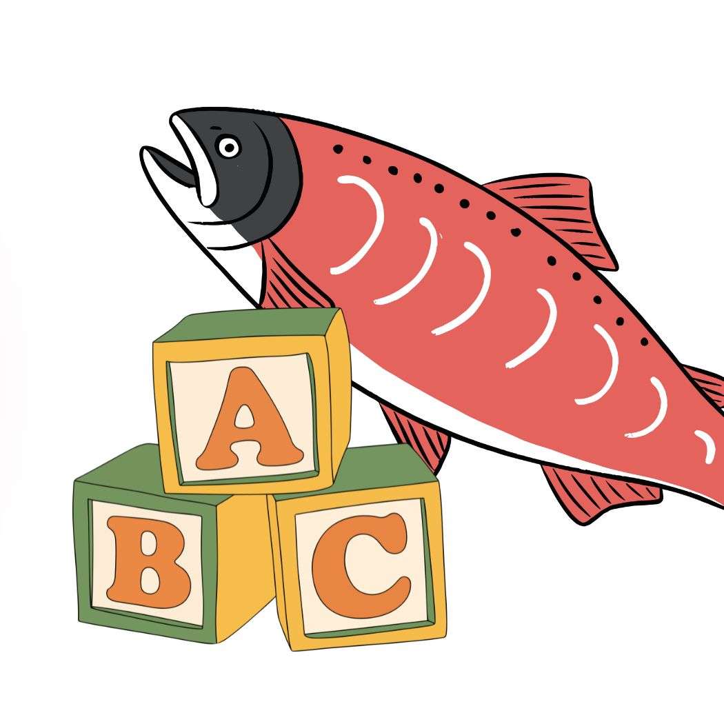 S8E4 - Salmon ABCs episode artwork