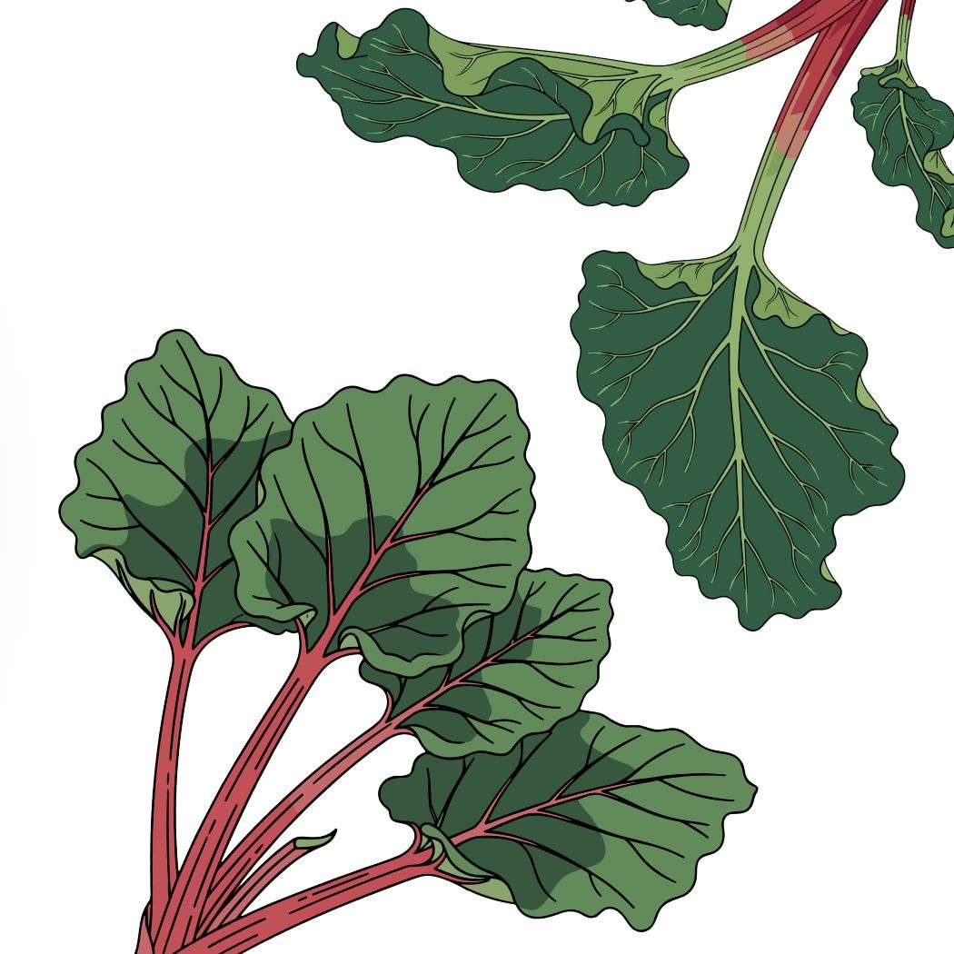 S8E1 - Heed the Rhubarb episode artwork
