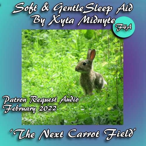 The Next Carrot Field - Bedtime Story (Sleep Aid) episode artwork