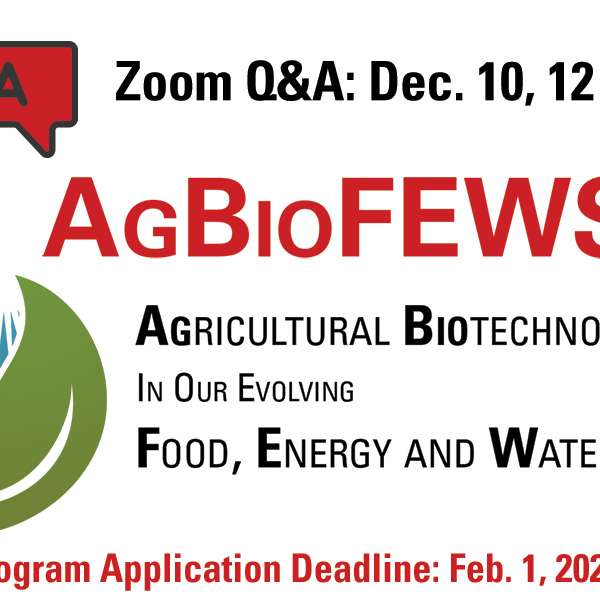 AgBioFEWS PhD Fellowship Q&A